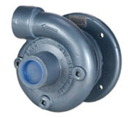 Centrifugal Pumps - Electric Motors