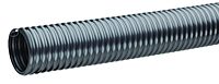 Silver_Tiger_300dpi